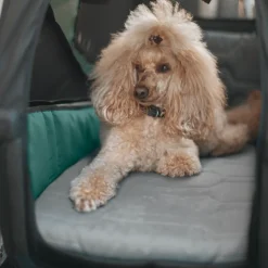 Thule Bexey dog bed L