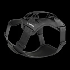 Thule Cappy