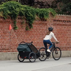 Thule Chariot Cab infant bundle