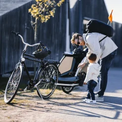 Thule Courier dog trailer bundle