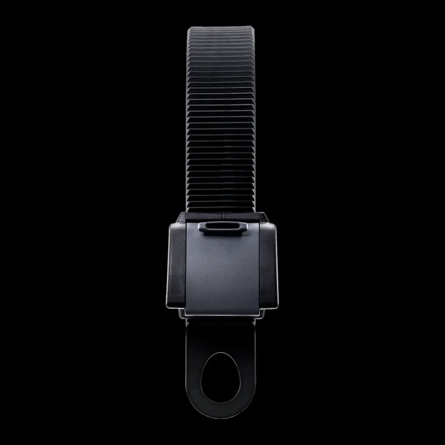 Thule ladder carrier