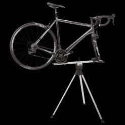 Thule RoundTrip Transition