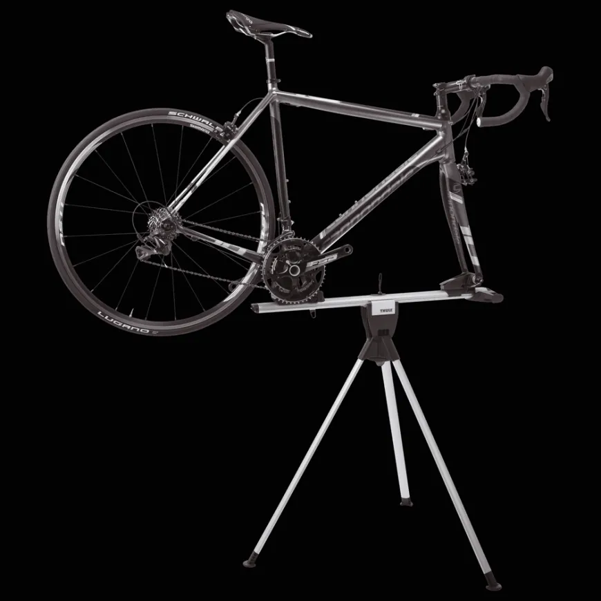 Thule RoundTrip Transition