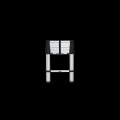 Thule Van Ladder